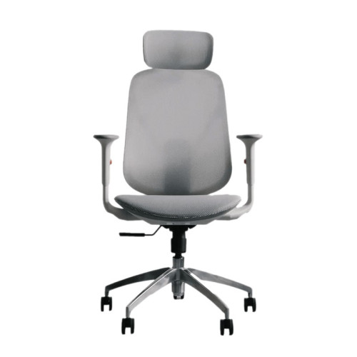 Ghế công thái học Epione ElysChair Cool Gray | Lưng lưới, Kèm tựa đầu, Xám