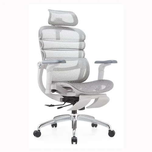 Ghế Công Thái Học Manson Foris, Màu Xám, Có gác chân | Đỡ Lưng Bionic Spine, Ngả Sâu 147 Độ, Tay 5D