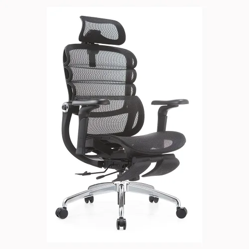 Ghế Công Thái Học Manson Foris, Màu Đen, Có gác chân | Đỡ Lưng Bionic Spine, Ngả Sâu 147 Độ, Tay 5D