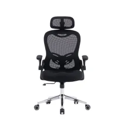 Ghế công thái học E DRA EEC224 | Đen, 150kg, Chân xoay, Lưng lưới - Bezon Buôn Ma Thuột