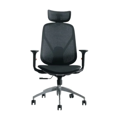 Ghế công thái học Epione ElysChair All Black | Lưng lưới, Kèm tựa đầu, Đen
