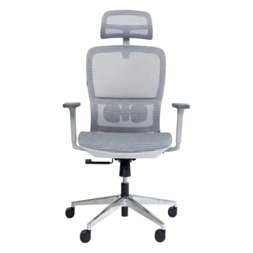 Ghế công thái học GAMI LUM2 | Xám, 150kg, Chân xoay, tay 2D, Lưng lưới