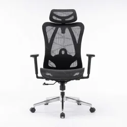 Ghế công thái học E DRA EEC225 | Đen, 150kg, Chân xoay, Lưng lưới - Bezon Buôn Ma Thuột