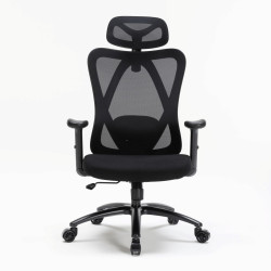 Ghế công thái học WARRIOR Hero WEC501 Plus | Đen, 120kg, Chân xoay, Lưng lưới - Bezon Buôn Ma Thuột