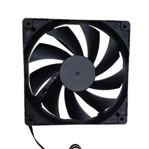 Fan Thường - Bezon Buôn Ma Thuột