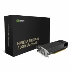 Card màn hình NVIDIA RTX PRO 2000 16G Blackwell (UPC 810152850251) | 16GB GDDR7 ECC, 4352 CUDA Cores - Bezon Buôn Ma Thuột