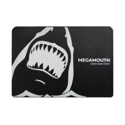 Ổ cứng SSD SSTC M110 512GB | SATA III, 2.5 - Bezon Buôn Ma Thuột