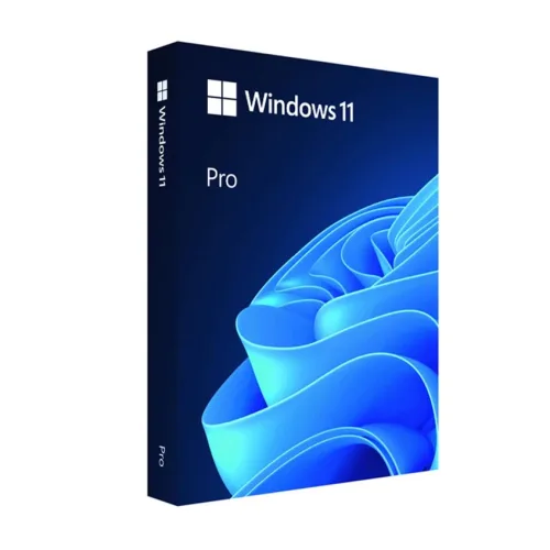 Phần mềm Windows 11 Pro FPP 64-bit Eng Intl USB (HAV-00163) | Bản quyền vĩnh viễn, USB cài đặt chính hãng