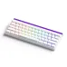 Bàn Phím Cơ Có Dây AKKO Veekos Shine60 SP White Akko Glare Magnetic Switch - 1