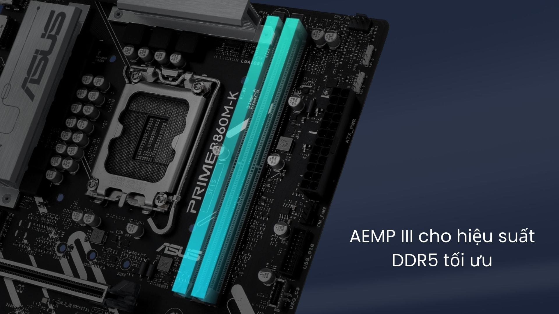 Mainboard ASUS PRIME B860M-K-CSM DDR5 – Hỗ trợ RAM DDR5