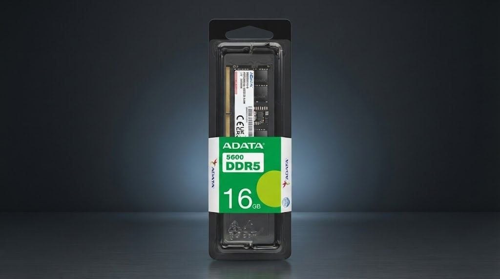 RAM Laptop ADATA 16GB DDR5 5600MHz SO-DIMM (AD5S560016G-S) | On-Die ECC, 262-Pin