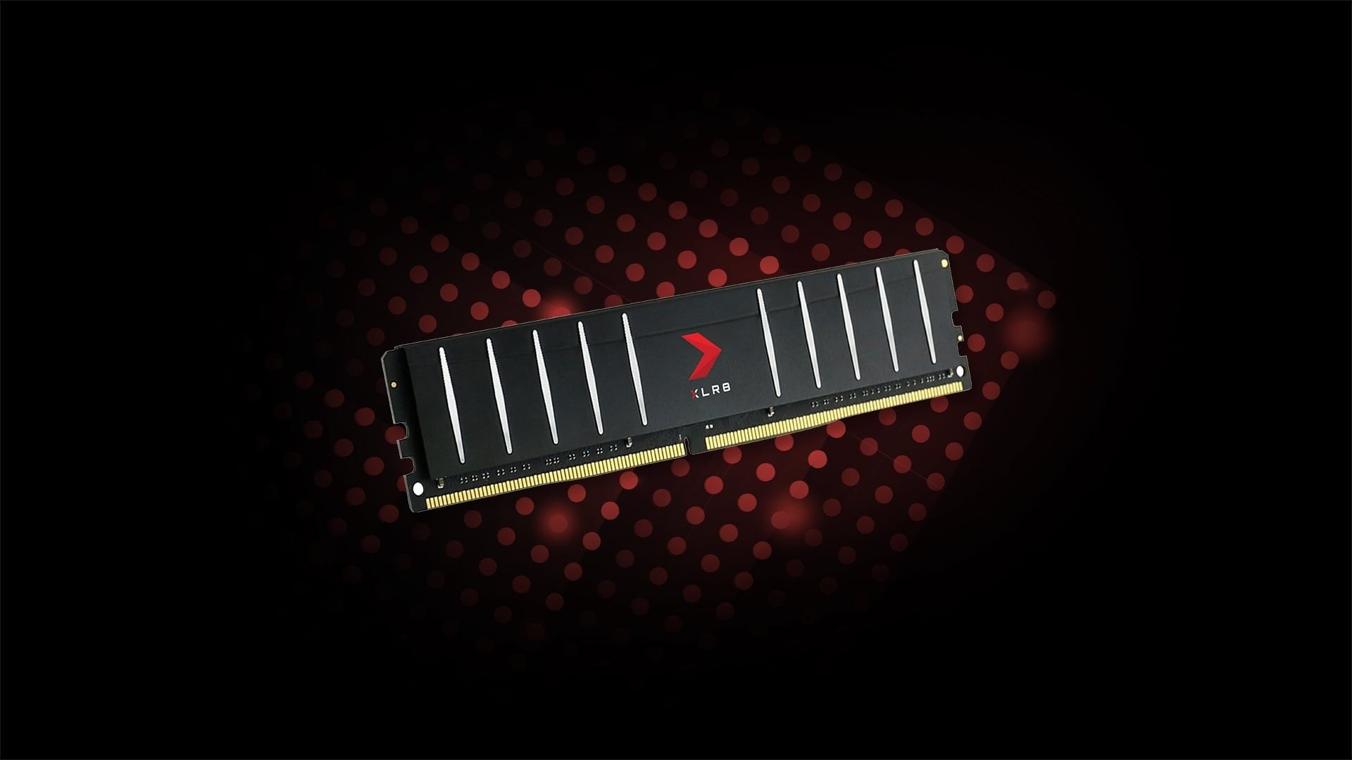 RAM PC PNY XLR8 Low Profile 16GB DDR4 3200MHz CL16 – Hiệu năng ổn định trong thiết kế gọn gàng