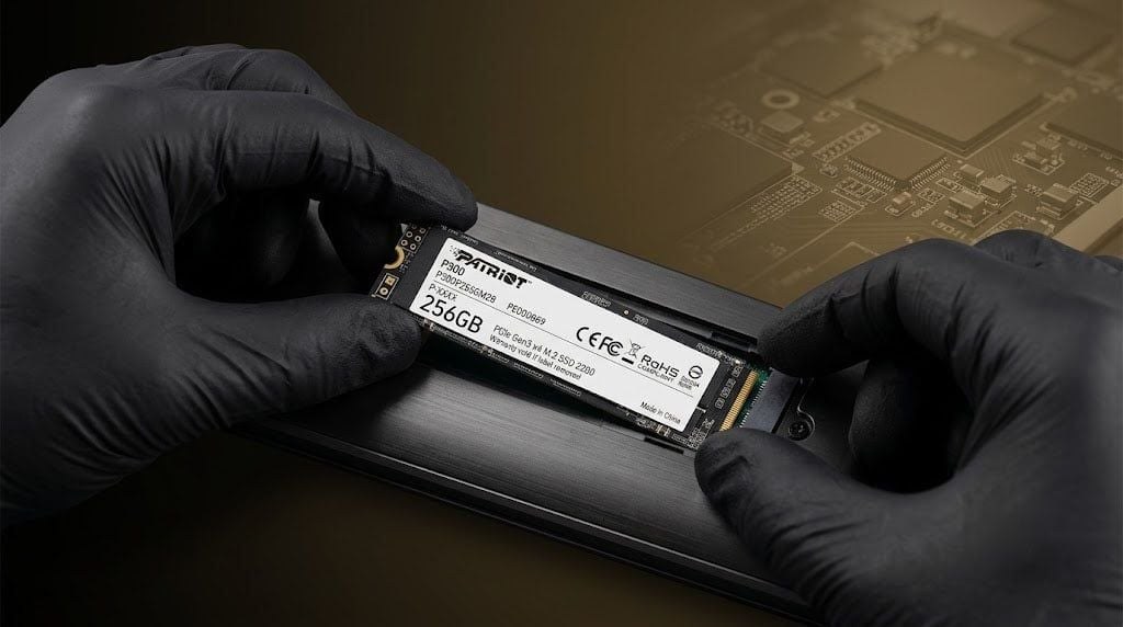 Ổ cứng SSD Patriot P300 256GB | PCIe Gen3 x4 NVMe, M.2 2280 (P300P256GM28)