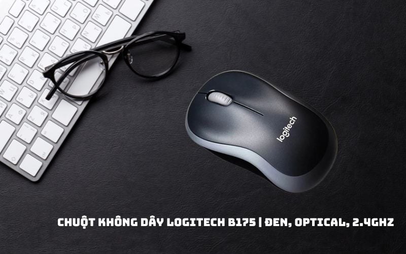 Chuột Logitech B175