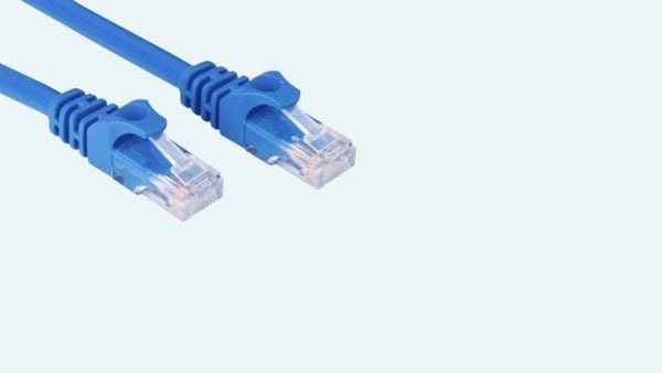 Dễ dàng sử dụng với đầu jack cắm RJ45